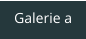 Galerie a